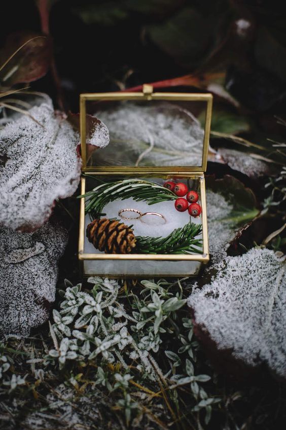 alliance mariage hiver